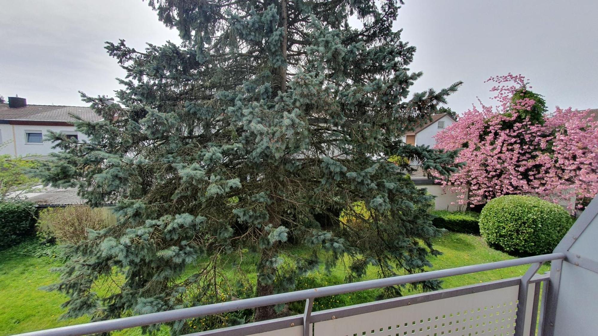 Schoene Aussicht Apartment